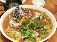 高压剁椒鱼头-陈记高压锅鱼头·生蚝