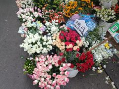 -循礼门鲜花花市(武汉循礼门店)