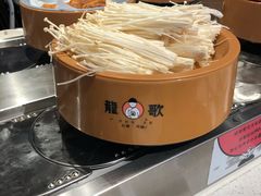 -龍歌自助小火锅(市北和达中心城店)