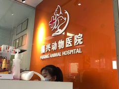 -瑞派福兴宠物医院犬猫全科·骨科·中西医结合(河东店)