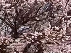 -吉林大学(南岭校区)