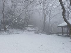 -紫金山山顶公园