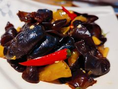 -守柴炉烤鸭(乐山万达店)