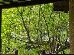 -北京水岸山吧度假村(雁栖镇店)