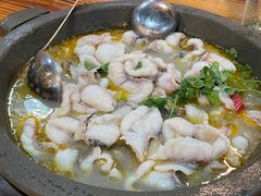 大鼎石锅鱼-大鼎石锅鱼(春江里店)