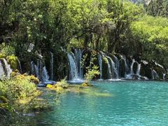 -白鹭湾湿地公园