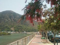 -大澳渔村及棚屋