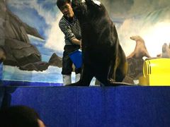 -梦幻海洋王国(吾悦广场张家港店)
