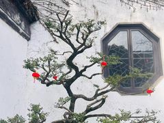 -南园(太仓市)