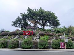 -自贡恐龙博物馆