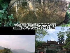 -广州市流溪河国家森林公园