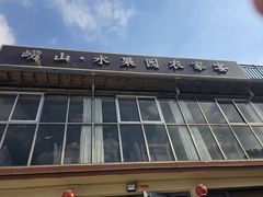 -崂山水果园农家宴(泉水鸡店)