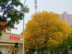 -好利来(槐中店)