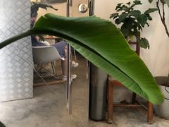 -the fall kaffe乐否咖啡