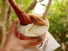 -Dip in Gelato(富民路店)