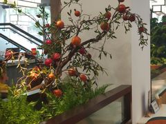 -洞庭家宴·头牌甲鱼(广渠门店)