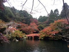 -醍醐寺