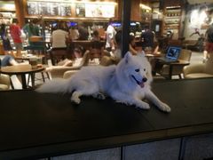 -桂桂茶(金谊广场店)