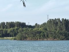 -丁香湖公园