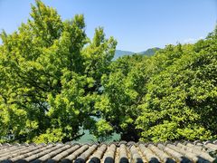 -蒋氏故居