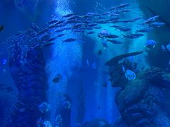 -波塞冬海底世界