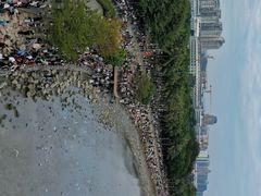 -深圳湾公园(南山区)