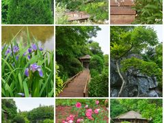 -上海吴淞炮台湾国家湿地公园