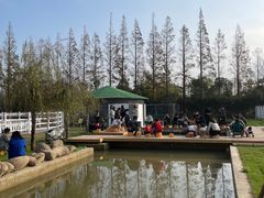 -前小桔亲子创意农场·草莓采摘·露营烧烤