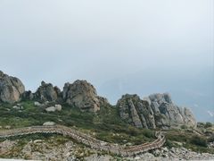 -白草畔自然风景区