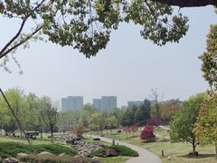 -白塘生态植物园