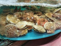 -晓伟海鲜家常菜