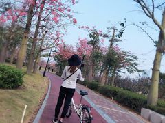-芒洲湿地公园