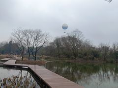 -西溪国家湿地公园