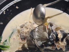 -7017浙菜•建德味(市心北路店)