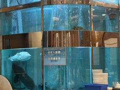 -西苑酒家(太古城店)