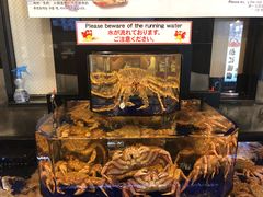 大堂-蟹道乐(道顿堀本店)