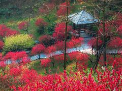 -桃花涧