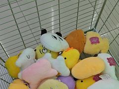 -JOYMARK(天津西青万达店)