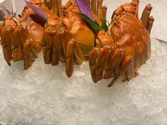 -福玺荟(外滩罗斯福店)