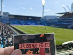 -泰达足球场