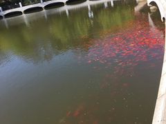 -大连植物园