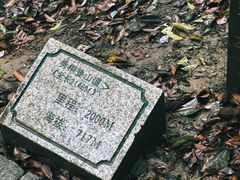 -梧桐山风景名胜区