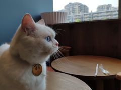 -凯德广场(武胜路店)