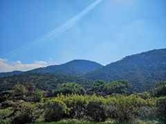 -徂徕山森林康养度假谷温泉