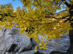 -青峰峡国家森林公园