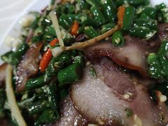 -东吴霸王兔(松青路店)