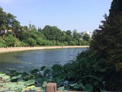 -采石矶景区