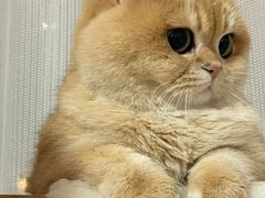 -荔康动物医院(康王北路店)