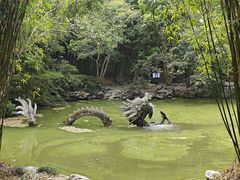 -汇龙潭