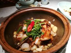 -大榕树下顺德菜(融创茂店)